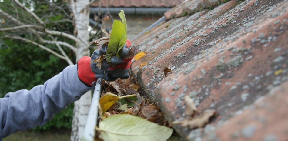 gutter-cleaning (1)