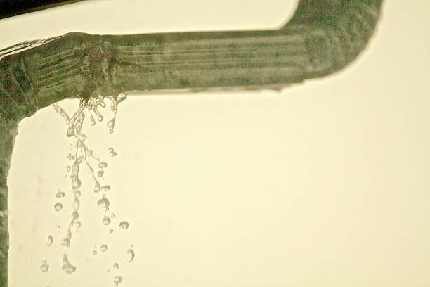 Protect Historic Home with Expert Gutter Company in Camden