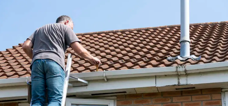 Gutter Inspection Service in Hopkins, South Carolina: A Homeowners Guide