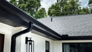 Gutter Guard Installation Near Me