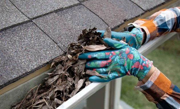 Best Gutter Company in Lexington, SC for Quality Service