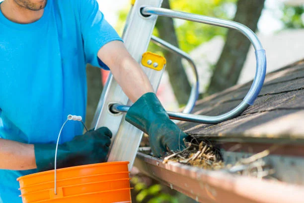 Downspouts Rejoice After Reliable Gutter Cleaning in Camden