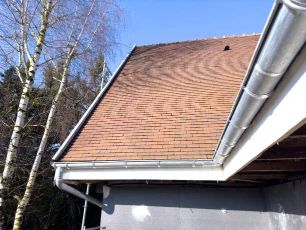 Clean Gutter with Best Gutter Troubleshoot Company | Camden