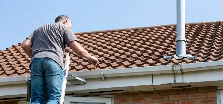 Gutter Inspection Service in Hopkins, South Carolina: A Homeowners Guide